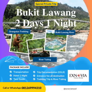 Paket Wisata Bukit Lawang 2 Hari 1 Malam