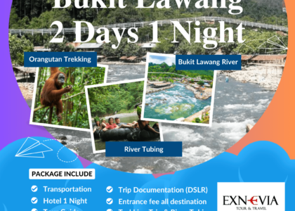 Paket Wisata Bukit Lawang 2 Hari 1 Malam