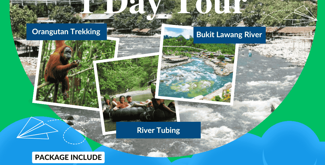 Paket Tour Bukit Lawang