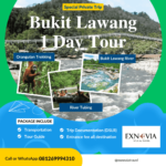 Paket Tour Bukit Lawang