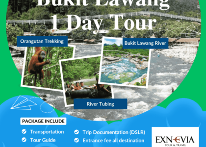 Paket Tour Bukit Lawang