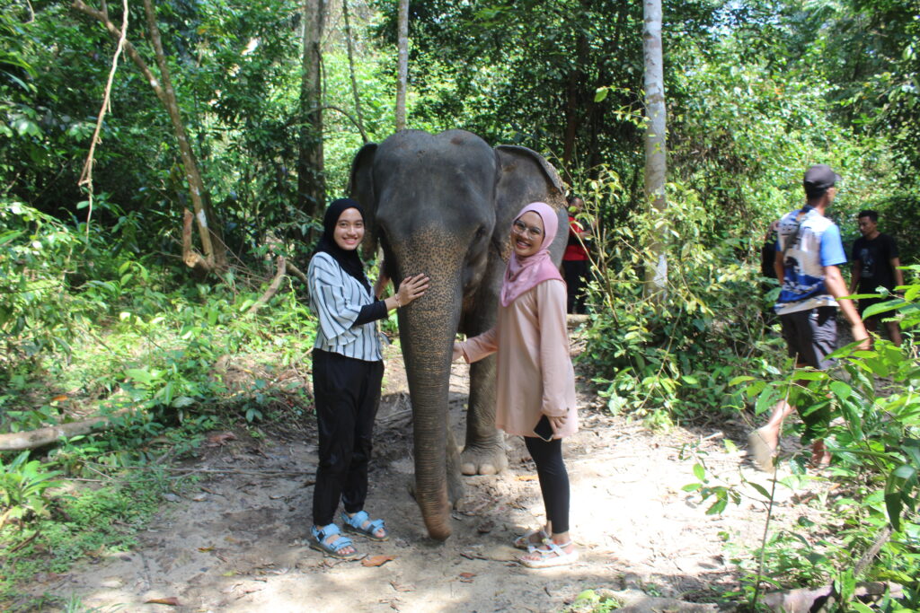 Wisata Tangkahan Gajah