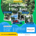 Paket Wisata Tangkahan 1 Hari