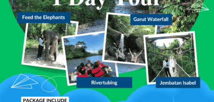 Paket Wisata Tangkahan 1 Hari