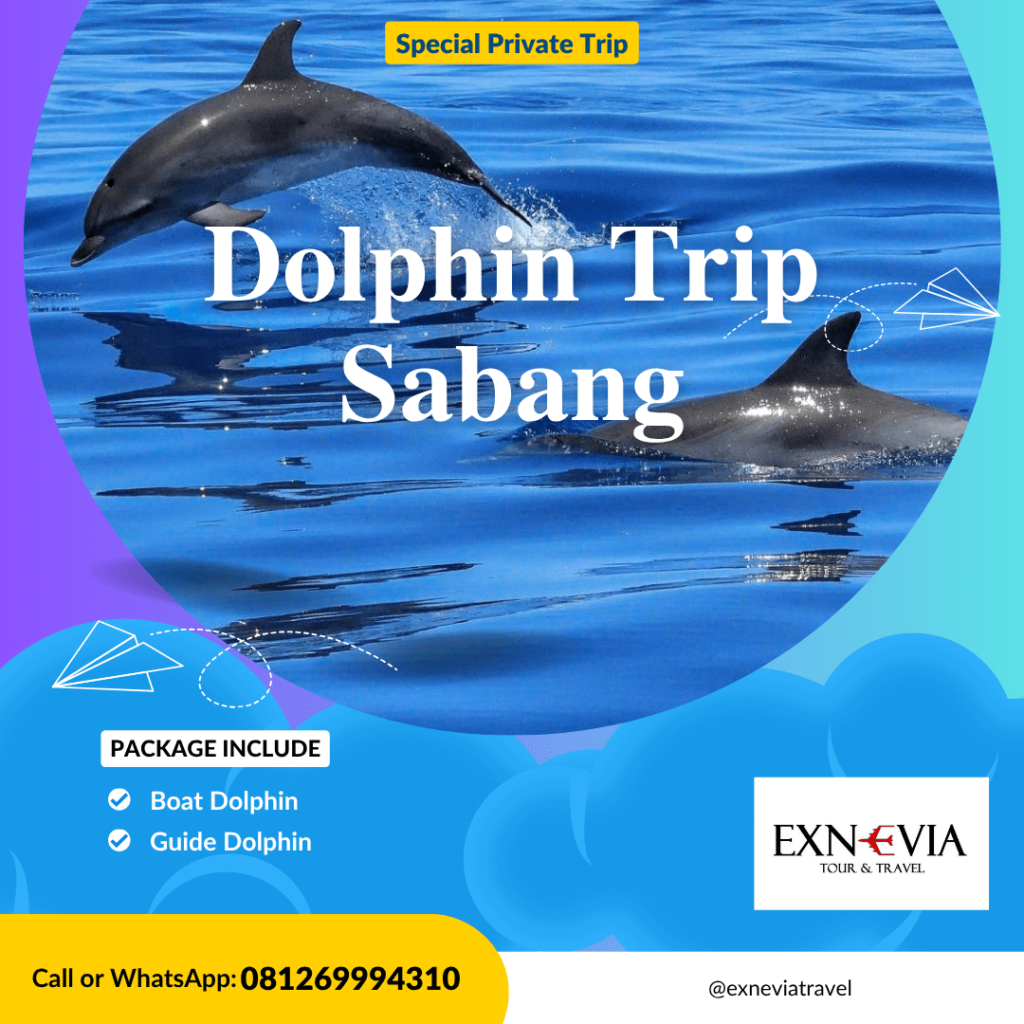 Dolphin Trip Sabang Paket Dolphin Trip Sabang