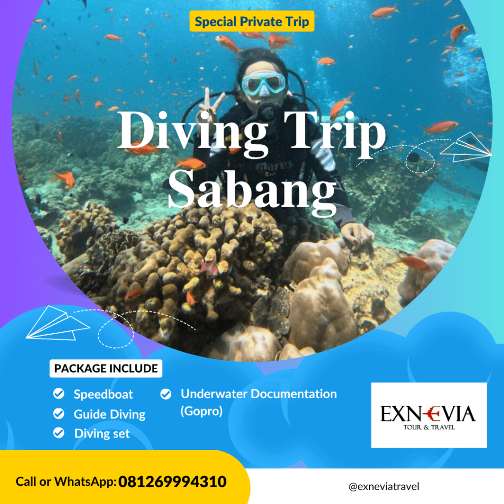 Paket diving sabang Paket Diving Sabang