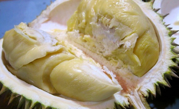 Ucok Durian